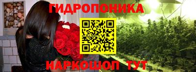 2c-b Гусиноозёрск