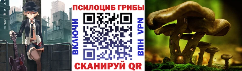 Галлюциногенные грибы мицелий  Сердобск 
