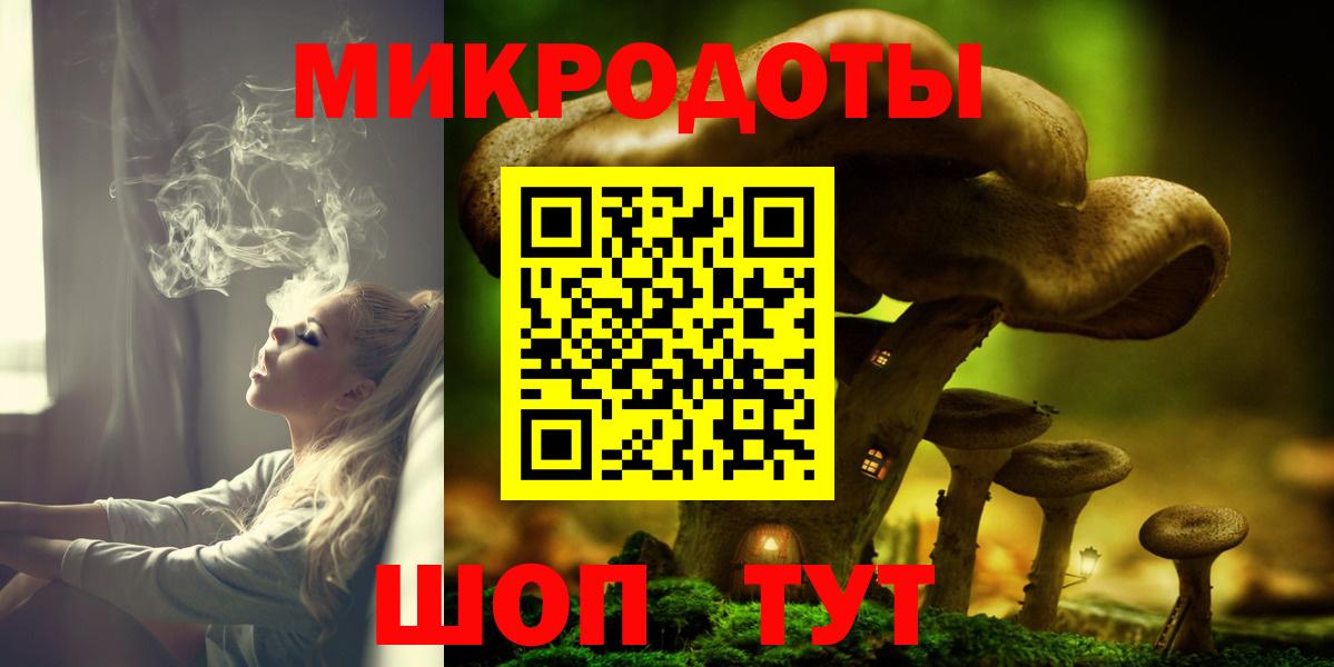 Галлюциногенные грибы Psilocybe Сердобск