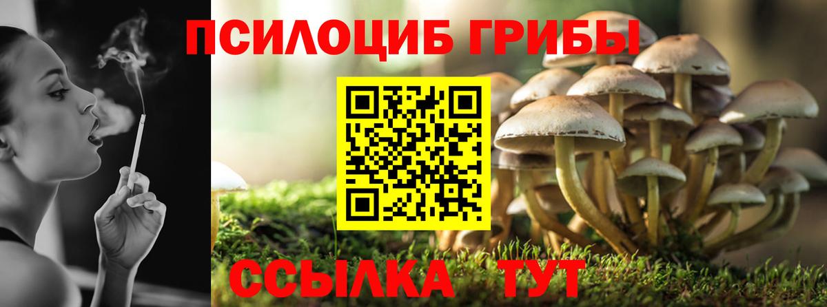 Сердобск  Псилоцибиновые грибы прущие грибы  Вход с VPN  Псилоцибиновые грибы прущие грибы 