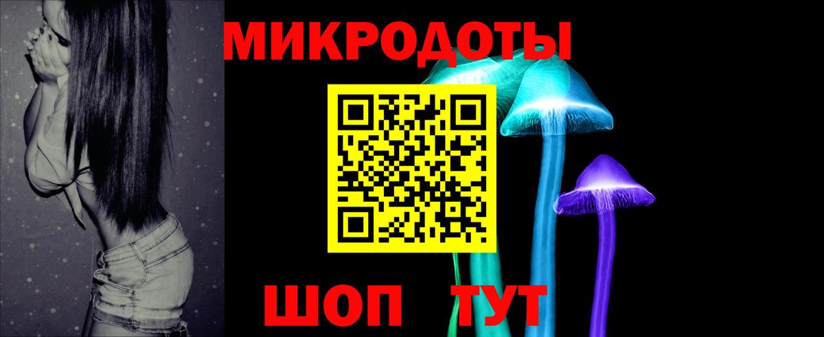 Псилоцибиновые грибы мицелий Сердобск
